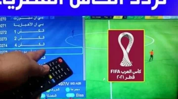 تحديث تردد قناة الكأس 2 على نايل سات وعرب سات بجودة HD
